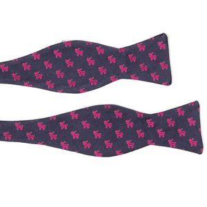 Ted Baker Navy and Pink Bow Tie